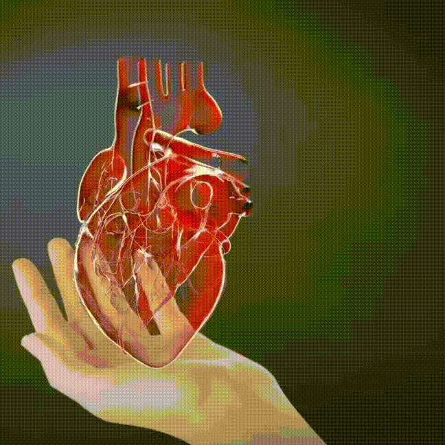 WhatsApp-Video-2025-08-04-at-11.25.22-PM-_1_