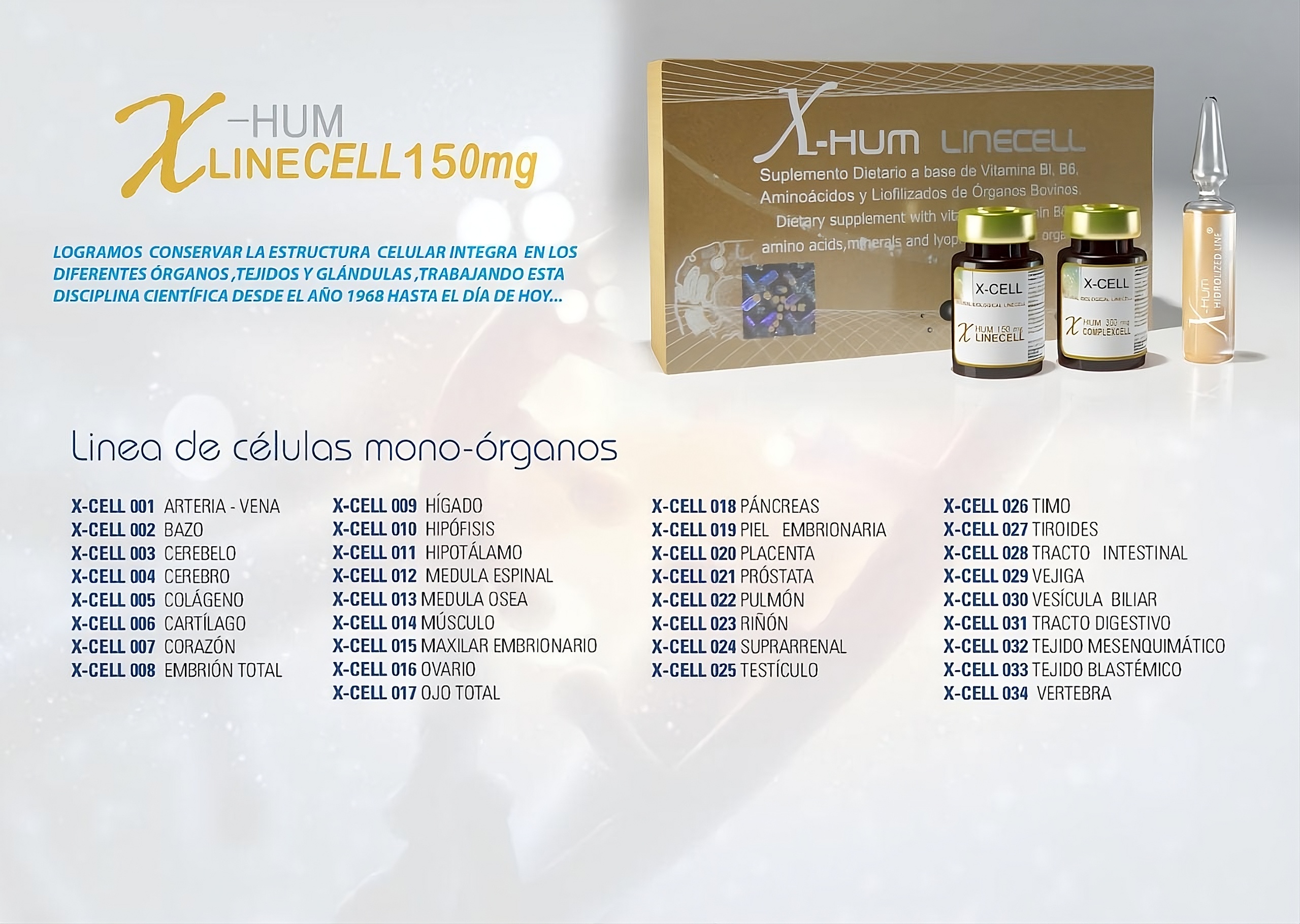 upscalemedia-transformed (2)